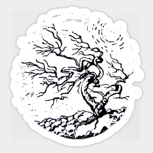 Old and Ancient Tree Sticker